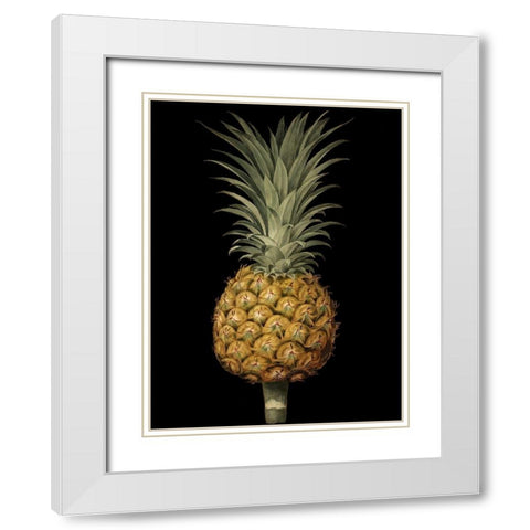 Custom Brookshaw Exotic Pineapple II (CR) White Modern Wood Framed Art Print with Double Matting by Brookshaw, George
