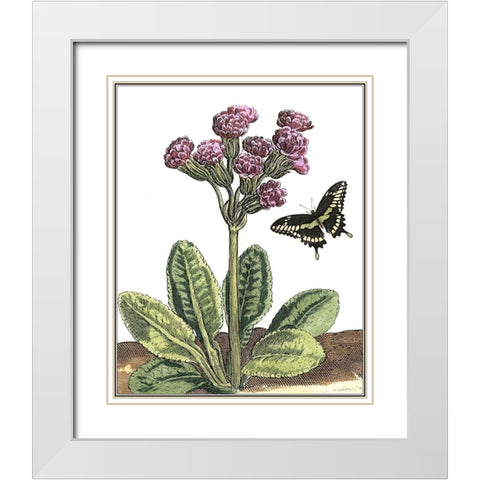 Garden Vignette II White Modern Wood Framed Art Print with Double Matting by De Bry, Johann