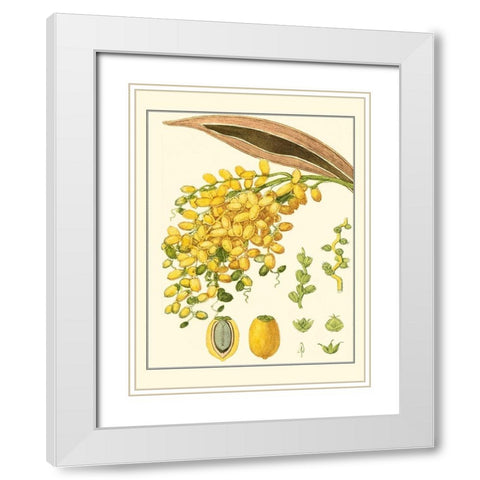 Turpin Tropicals VIII White Modern Wood Framed Art Print with Double Matting by Turpin