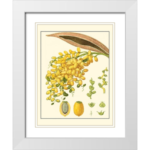 Turpin Tropicals VIII White Modern Wood Framed Art Print with Double Matting by Turpin
