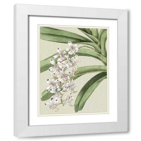 Small Orchid Blooms I White Modern Wood Framed Art Print with Double Matting by Vision Studio