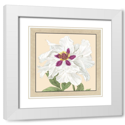Small Peony Collection IV White Modern Wood Framed Art Print with Double Matting by Vision Studio