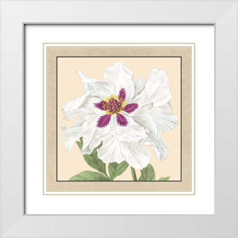Small Peony Collection IV White Modern Wood Framed Art Print with Double Matting by Vision Studio
