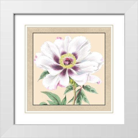 Small Peony Collection VI White Modern Wood Framed Art Print with Double Matting by Vision Studio