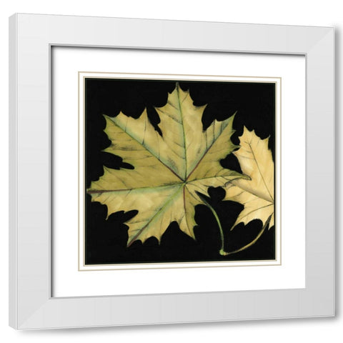 Small Tandem Leaves II White Modern Wood Framed Art Print with Double Matting by Goldberger, Jennifer