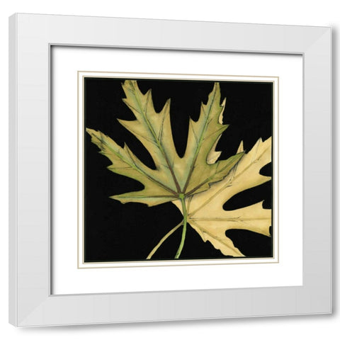 Small Tandem Leaves IV White Modern Wood Framed Art Print with Double Matting by Goldberger, Jennifer