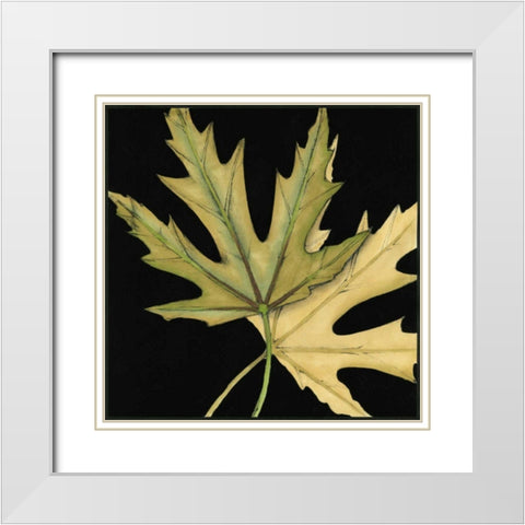 Small Tandem Leaves IV White Modern Wood Framed Art Print with Double Matting by Goldberger, Jennifer