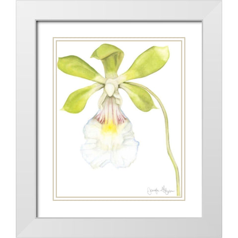 Small Orchid Beauty I White Modern Wood Framed Art Print with Double Matting by Goldberger, Jennifer