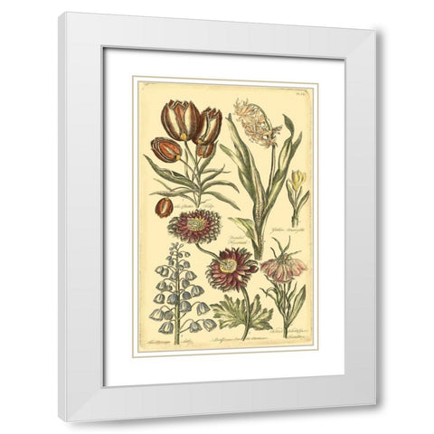 Floral Bounty II White Modern Wood Framed Art Print with Double Matting by Vision Studio