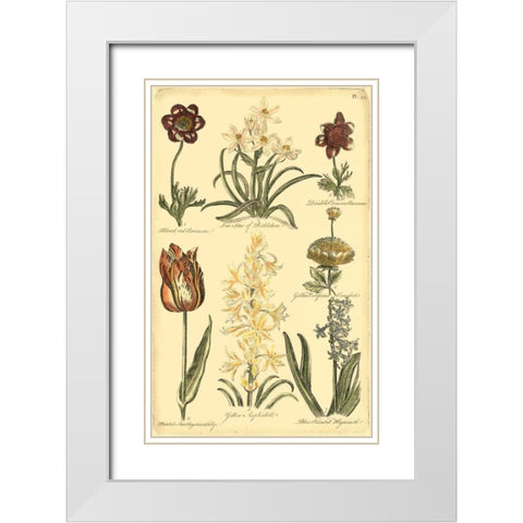 Floral Bounty IV White Modern Wood Framed Art Print with Double Matting by Vision Studio