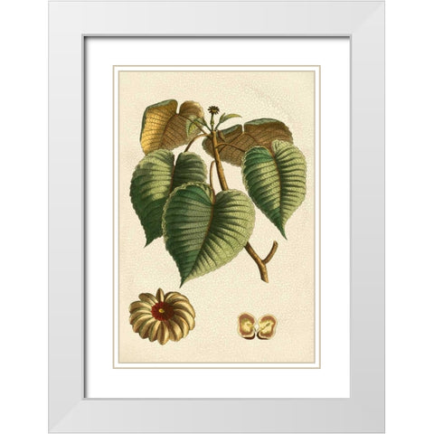 Small Seasonal Foliage I White Modern Wood Framed Art Print with Double Matting by Vision Studio