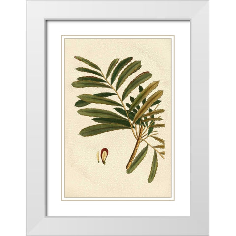 Small Seasonal Foliage II White Modern Wood Framed Art Print with Double Matting by Vision Studio