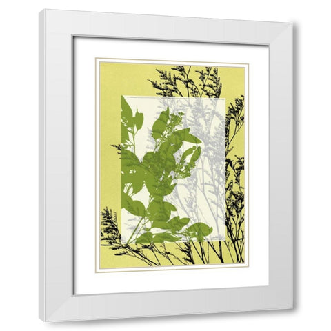 Small Translucent Wildflowers III White Modern Wood Framed Art Print with Double Matting by Goldberger, Jennifer