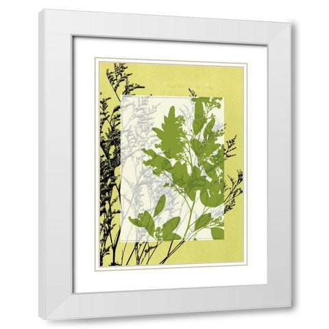 Small Translucent Wildflowers IV White Modern Wood Framed Art Print with Double Matting by Goldberger, Jennifer