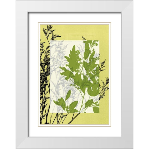 Small Translucent Wildflowers IV White Modern Wood Framed Art Print with Double Matting by Goldberger, Jennifer