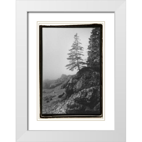 Lone Tree White Modern Wood Framed Art Print with Double Matting by DeNardo, Laura