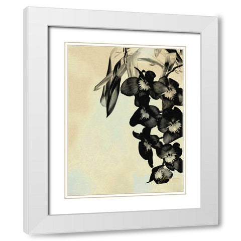 Orchid Blush Panels II White Modern Wood Framed Art Print with Double Matting by Burghardt, James