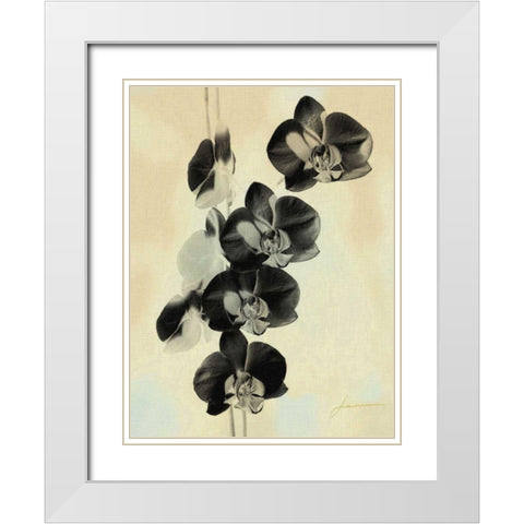 Orchid Blush Panels III White Modern Wood Framed Art Print with Double Matting by Burghardt, James