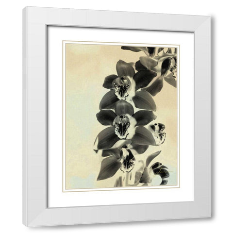 Orchid Blush Panels IV White Modern Wood Framed Art Print with Double Matting by Burghardt, James