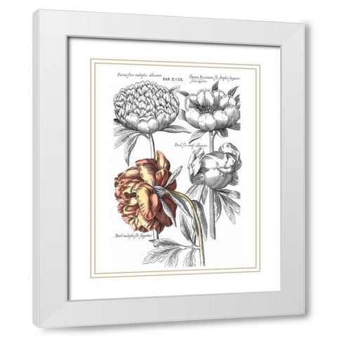 Tinted Floral I White Modern Wood Framed Art Print with Double Matting by Besler, Basilius