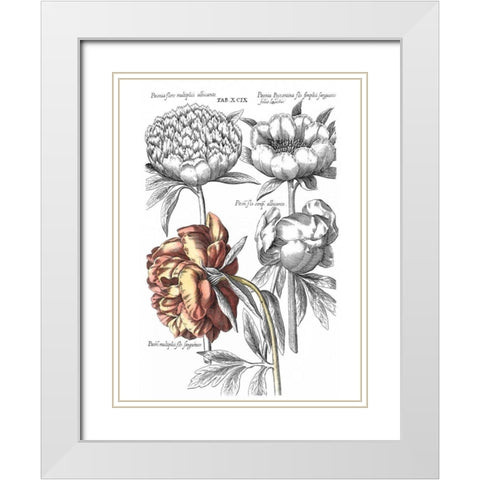 Tinted Floral I White Modern Wood Framed Art Print with Double Matting by Besler, Basilius