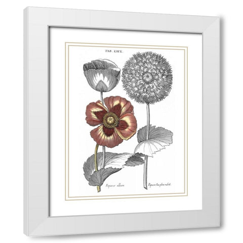 Tinted Floral II White Modern Wood Framed Art Print with Double Matting by Besler, Basilius
