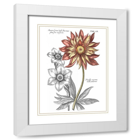 Tinted Floral III White Modern Wood Framed Art Print with Double Matting by Besler, Basilius