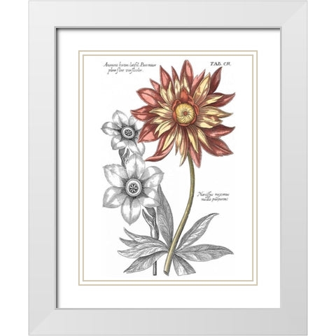 Tinted Floral III White Modern Wood Framed Art Print with Double Matting by Besler, Basilius