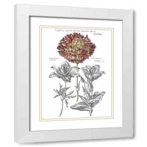 Tinted Floral IV White Modern Wood Framed Art Print with Double Matting by Besler, Basilius