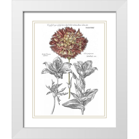 Tinted Floral IV White Modern Wood Framed Art Print with Double Matting by Besler, Basilius