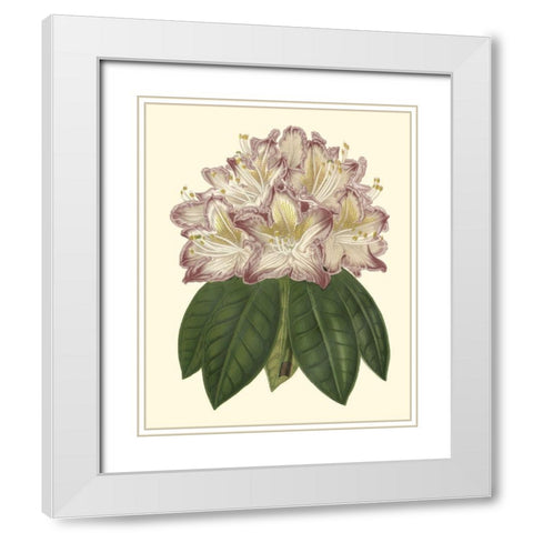 Pastel Blooms I White Modern Wood Framed Art Print with Double Matting by Unknown