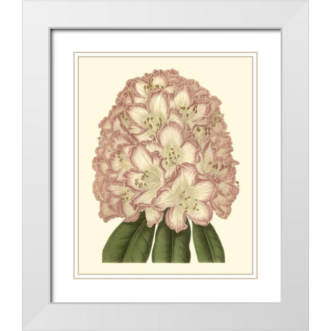 Pastel Blooms II White Modern Wood Framed Art Print with Double Matting by Unknown