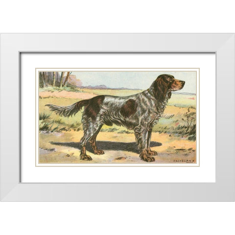 Mans Best Friend II White Modern Wood Framed Art Print with Double Matting by Unknown
