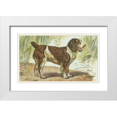 Mans Best Friend IV White Modern Wood Framed Art Print with Double Matting by Unknown