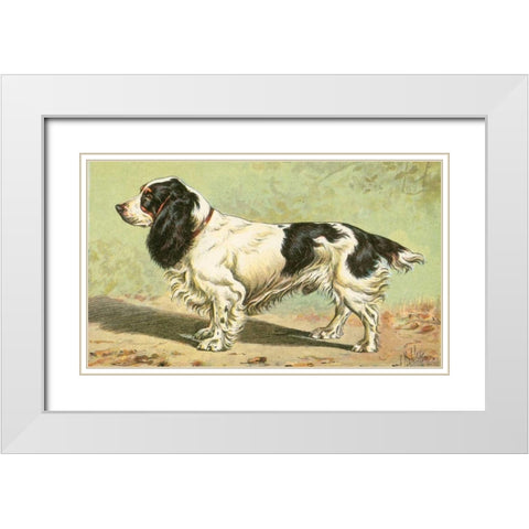 Mans Best Friend V White Modern Wood Framed Art Print with Double Matting by Unknown