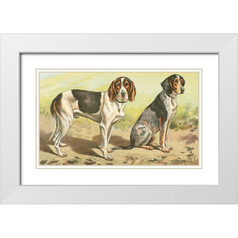 Mans Best Friend VI White Modern Wood Framed Art Print with Double Matting by Unknown