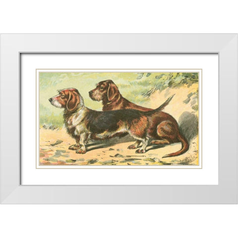 Mans Best Friend IX White Modern Wood Framed Art Print with Double Matting by Unknown
