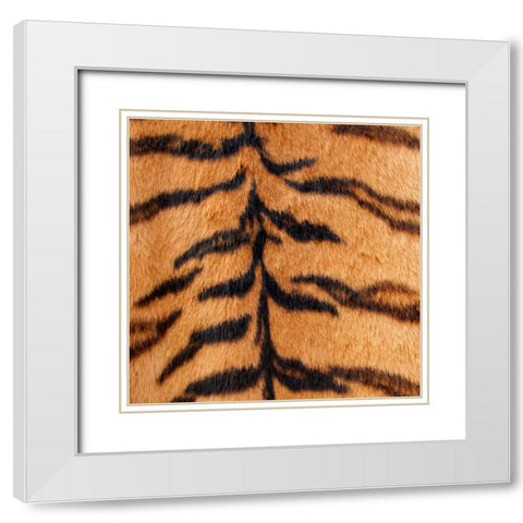 Animal Instinct III White Modern Wood Framed Art Print with Double Matting by Vision Studio