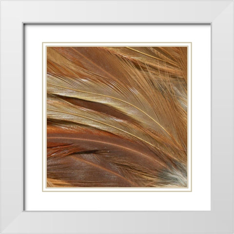 Animal Instinct IV White Modern Wood Framed Art Print with Double Matting by Vision Studio