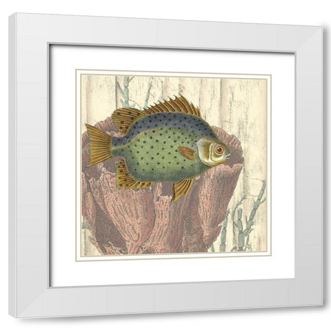 Coastal Montage III White Modern Wood Framed Art Print with Double Matting by Vision Studio