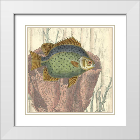 Coastal Montage III White Modern Wood Framed Art Print with Double Matting by Vision Studio