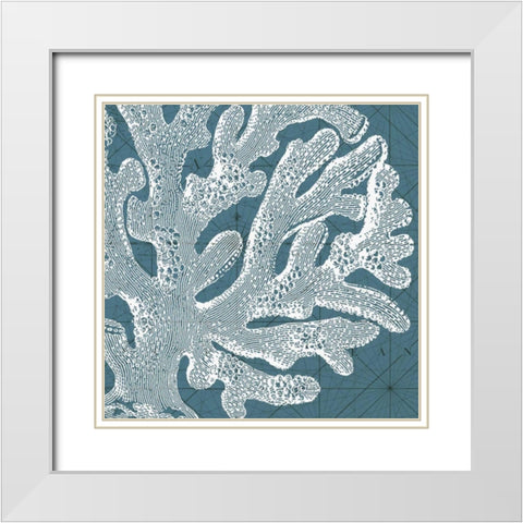 Coastal Menagerie II White Modern Wood Framed Art Print with Double Matting by Vision Studio
