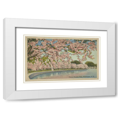 Cherry Blossom Time White Modern Wood Framed Art Print with Double Matting by Unknown