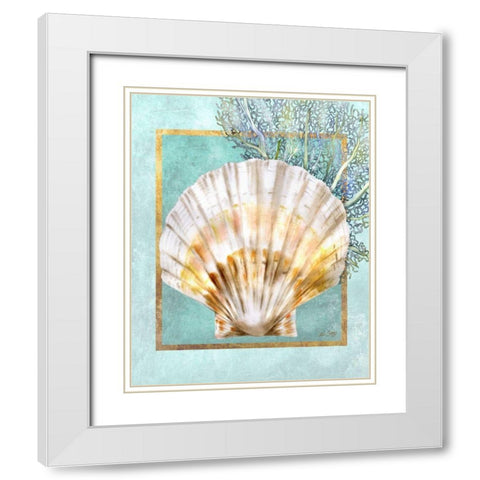 Scallop Shell and Coral White Modern Wood Framed Art Print with Double Matting by Schory, Lori