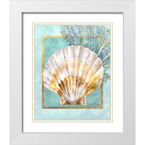 Scallop Shell and Coral White Modern Wood Framed Art Print with Double Matting by Schory, Lori