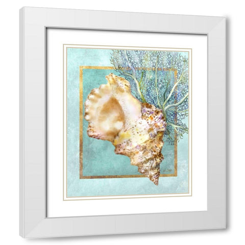 Conch Shell and Coral White Modern Wood Framed Art Print with Double Matting by Schory, Lori
