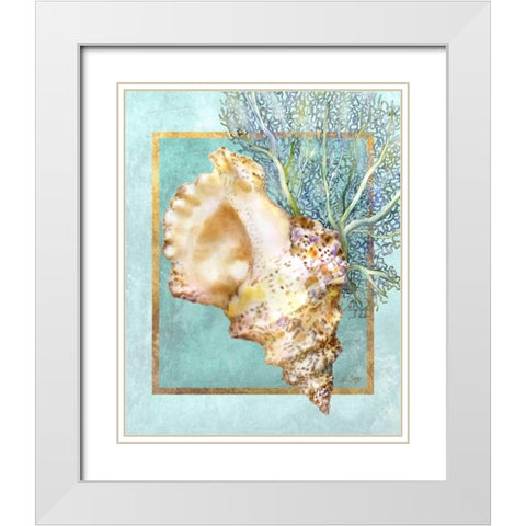 Conch Shell and Coral White Modern Wood Framed Art Print with Double Matting by Schory, Lori