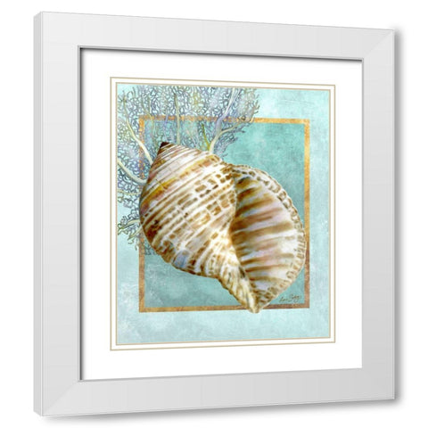 Turban Shell and Coral White Modern Wood Framed Art Print with Double Matting by Schory, Lori