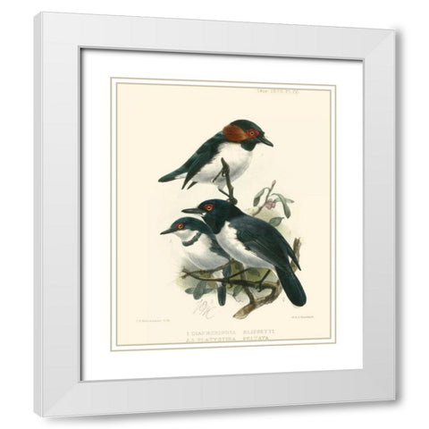 Birds in Nature IV White Modern Wood Framed Art Print with Double Matting by Keulemans, J.C.