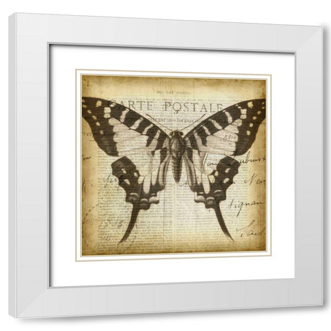 Carte Postale Butterfly I White Modern Wood Framed Art Print with Double Matting by Goldberger, Jennifer